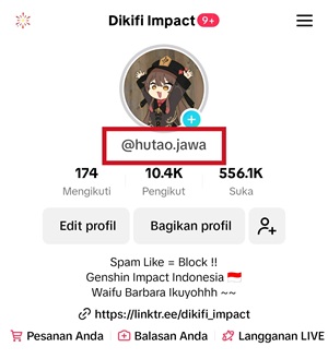 Letak username di halaman profil TikTok